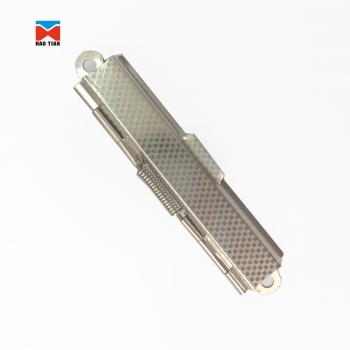 plain clip